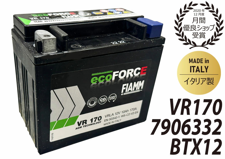 FIAMM VR170 BTX12