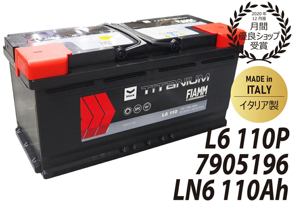 FIAMM 110A LN6 L6110